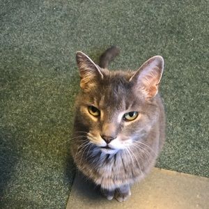 Meet your Posher, Lynn